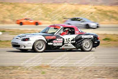 media/Feb-17-2024-Extreme Speed (Sat) [[f2f02d613c]]/Purple Group/Session 2 (Turn 14)/